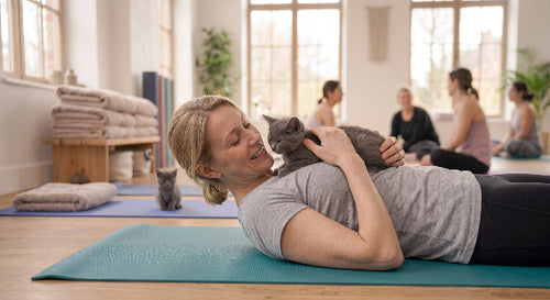 Kittens & Yoga Rochester NY